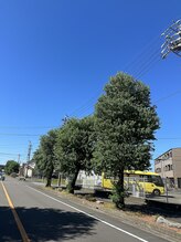 ジュエルボンド(Jewel Bond)/【道案内】