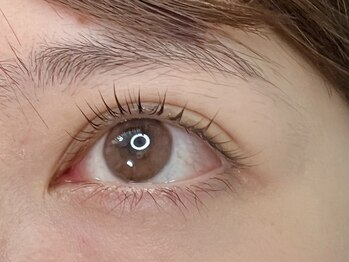 サロングレイス(Salon Grace)/Dロット