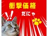【月火水／ご新規◆期間限定】ヘッド付全身整体60分￥5,500→￥1,980