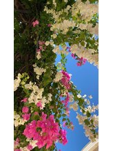 コオリナ(Ko Olina)&nbsp;Ko Olina