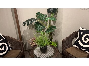 緑の風/清潔感ある店