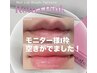 ローマピンクモニターさま募集中です