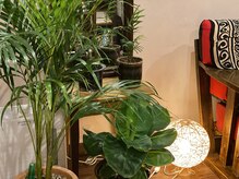 【観葉植物と間接照明で非日常感を演出】