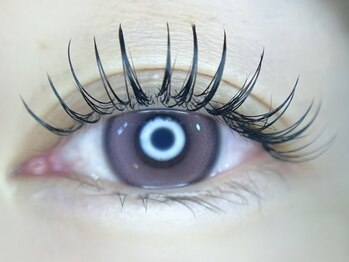 アミューズラッシュ(Amuse Lash)/Amuse Lash