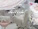 キティックネイル(Kittic nail)の写真