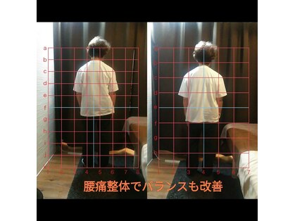 ダイダイ(daidai)の写真
