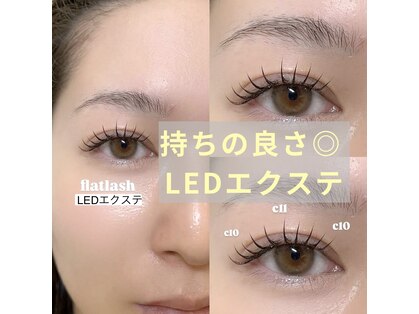 ベル(Belle)の写真