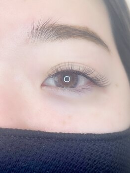 ルピナス(Lupinus)/LEDボリュームラッシュ300本