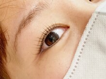 アミューズラッシュ(Amuse Lash)/Amuse Lash