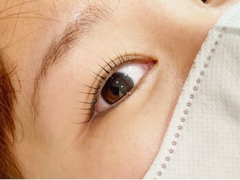 アミューズラッシュ(Amuse Lash)/Amuse Lash