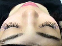 ディシェーレ アスト(die-Schere Ast)/カラーミックス120本