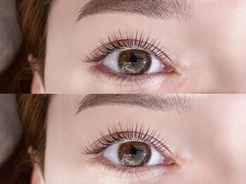 ノーヴ 京都(nowe)/フラットラッシュ