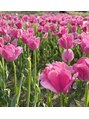 ソルム(solmu) 年々植物に癒されるように♪