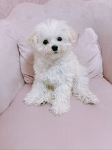 ビューティサロンミルク&nbsp;ぷーちゃん 