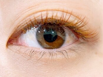 まつげエクステ専門店 アイラ 北千住店(EYELA)/イエローブラウンエクステ