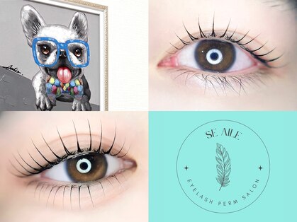 シエル(Se aile)の写真