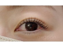 ミニョン 川口(mignon)/フラットラッシュ100本