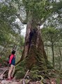 キンマク 亀戸院(KINMAQ)&nbsp;屋久島に行って大自然を感じてきました！