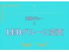 通常グルー→LEDグルーに変更。通常価格￥1500→￥1100