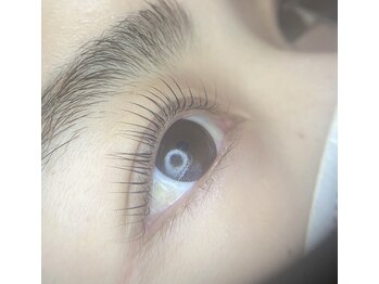 シャルムミー(Charmeme)/まつ毛パーマ立ち上げスタイル