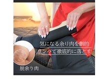 ヨサパーク ラリマー(YOSA PARK Larimar)の雰囲気（本気で痩せたい方！温めて脂肪を柔らかくし造形マッサージ◎）