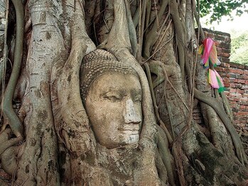 アジアンリラクゼーション ヴィラ 福岡東店(asian relaxation villa)/タイ；ワット・マハタート