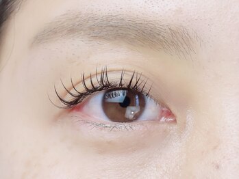 アイラッシュ サード(Eyelash third)/