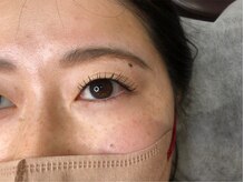 アイビーラッシュ(Eye be Lush)/フラットラッシュ120本