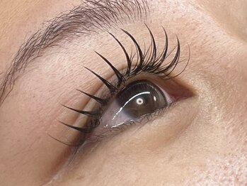 アミューズラッシュ(Amuse Lash)/Amuse Lash