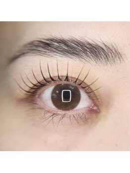 アイハーブスキン(Eye herb skin)/札幌東区似合わせまつ毛パーマ