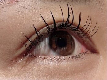 カラン 焼津店(CALIN)/LEDフラットマットラッシュ