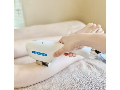 リアン(Le lien)の写真