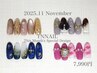 【11月限定デザインアート】ネイルコレクション2025！9980円→7990円