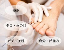 菊桃(kikumomo)