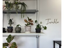ティンクル(Twinkle)の雰囲気（お一人お一人のお悩みにあった施術を行います！）
