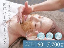 シャンディ(Shandy)