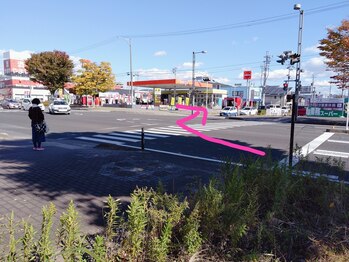 アリアーレ(ALIARE)/西道路からの経路　1