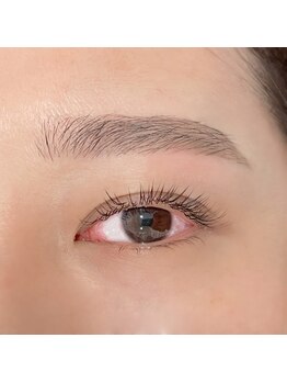 アイエルサラッシュ バイ ニコット(Eye ELSA lash by nicott)/アイブロウ