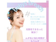 ベイビーズブレス(babys breath)