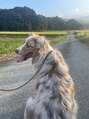 フレルト 伊勢店(FLELT)&nbsp;犬を飼っていて毎日癒しをもらってます！