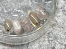 5月プレミアム定額　新規8,400円