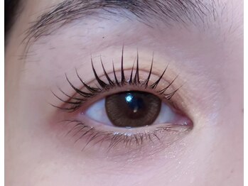 パイル(pile)/メーテルロッド