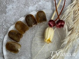 【Endo限定】 design