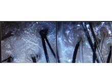 シルフ エルスパ 阪急茨木店(Sylph &EirSPA)/