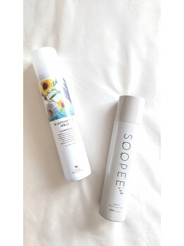 エスプリクレール(Esprit Clair)/オプションに