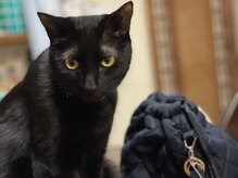 葡のか(ほのか)/出勤前のお見送り…なら嬉しいが