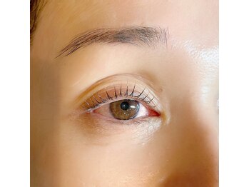 アイジュ(AYLLU)/まつ毛パーマ（ラッシュリフト）