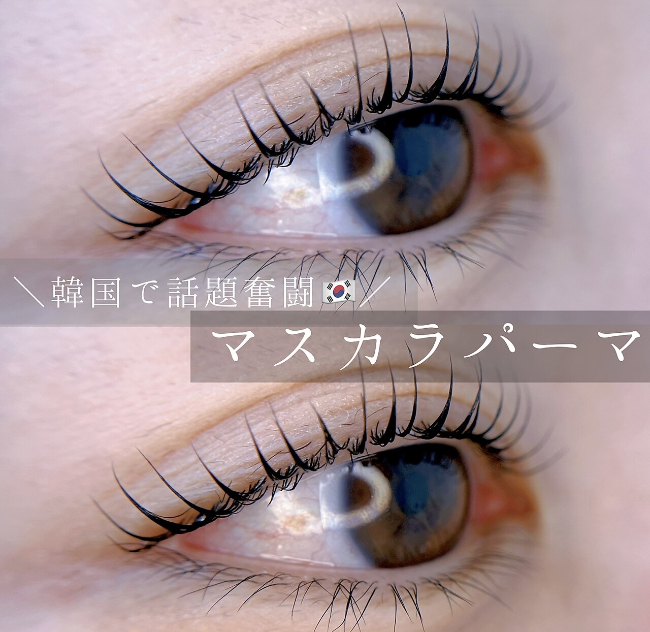 《韓国風マスカラパーマ♪》まつ毛パーマ+ブラックティント+コーティング付