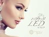 【LEDフラット下20本】2800円★LED硬化で圧倒的な持続力！