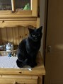 ロカスパ(LOCA SPA)&nbsp;福島の実家で飼っている黒猫ちゃんです！名前はジジといいます＊